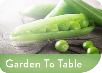 Garden To Table